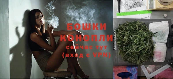дурь Богданович