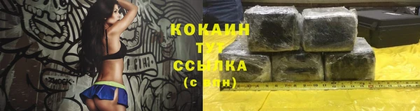 мдпв Богородицк