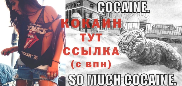 дурь Богданович