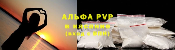 мдпв Богородицк