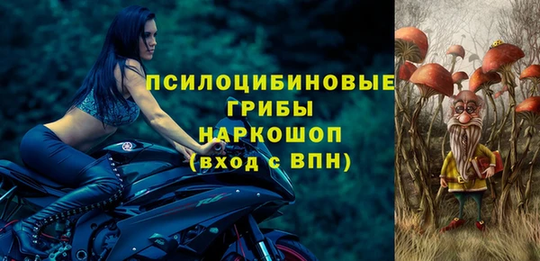 спайс Богородск