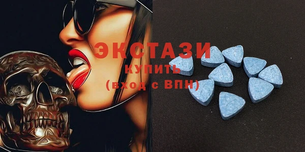 мдпв Богородицк
