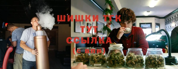 дурь Богданович
